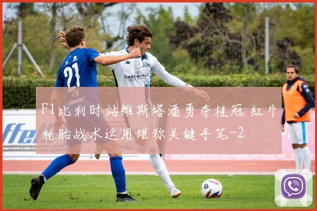 F1比利时站维斯塔潘勇夺桂冠 红牛轮胎战术运用堪称关键手笔