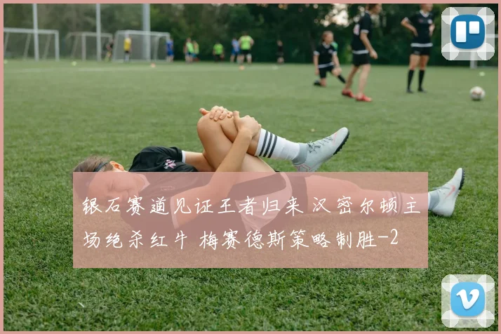 银石赛道见证王者归来 汉密尔顿主场绝杀红牛 梅赛德斯策略制胜